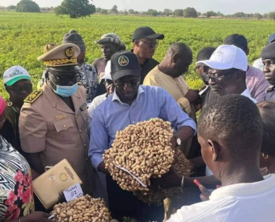 Mabouba Diagne