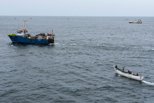 Pêche illicite au Sénégal : 24 navires ont été arraisonnés pour diverses infractions et des amendes chiffrées à des centaines de millions de FCFA