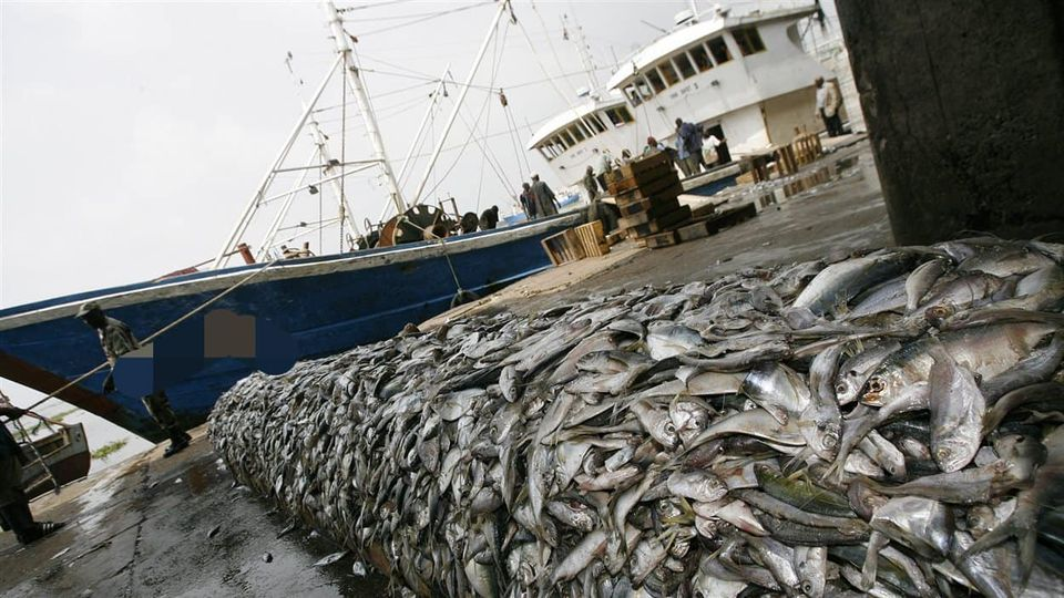 Accords de pêche : L’Ue sursoit au renouvellement du protocole avec le Sénégal